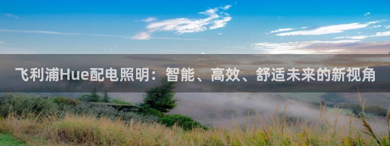 飞利浦Hue配电照明:智能、高效、舒适未