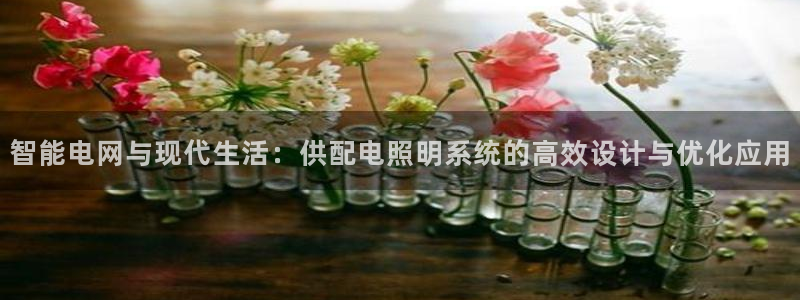 智能电网与现代生活:供配电照明系统的高效